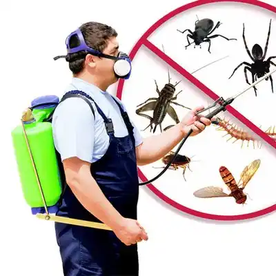 pest control West Wareham